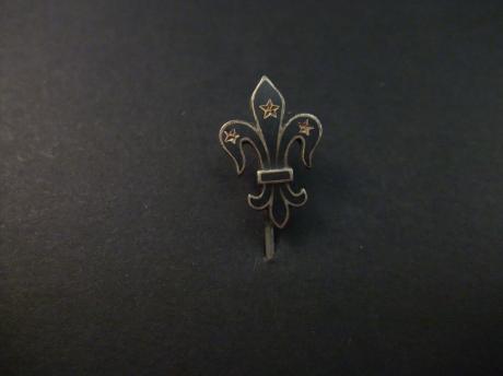 Scouting Franse lelie logo met drie sterren